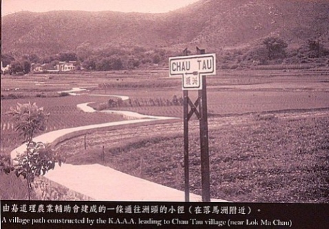 洲頭村 (1960s)