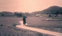洲頭村 (1960s)2